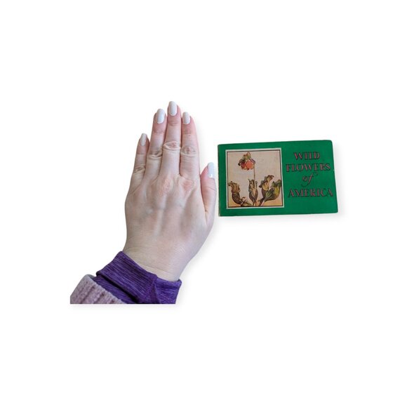 Vintage Wild Flowers of America Paperback Pocket Picture Reference Book 1932 - Picture 7 of 14